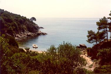 1980 Skiathos 1980-07-009 Bucht Diamandis_478